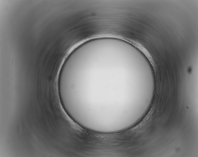 X0000099421380200805090741