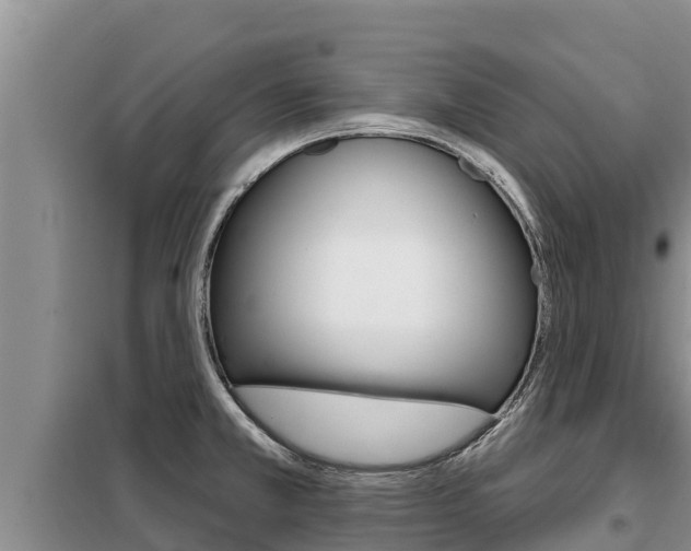 X0000099421381200805090741