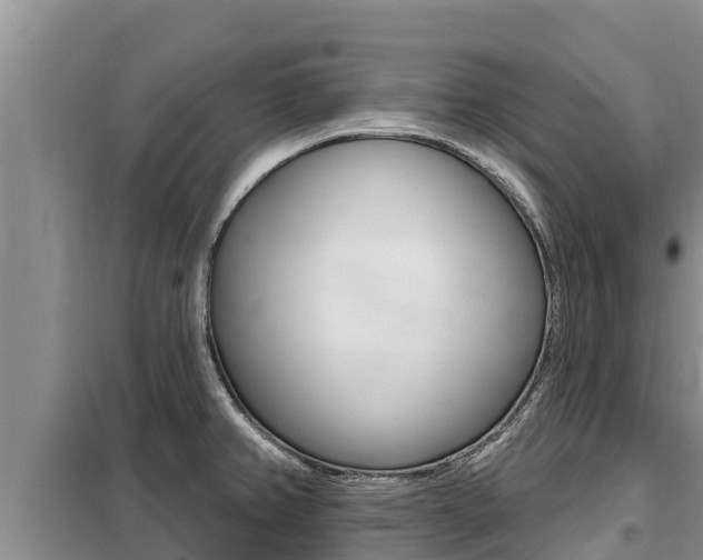 X0000099421382200805090741