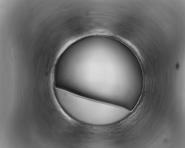 X0000099421383200805090741