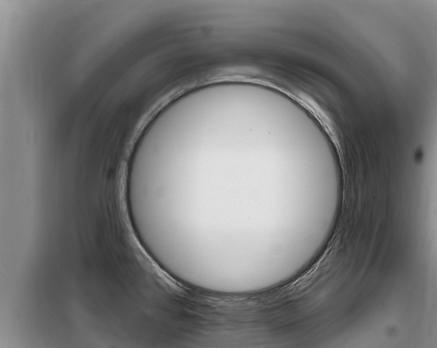 X0000099421384200805090741