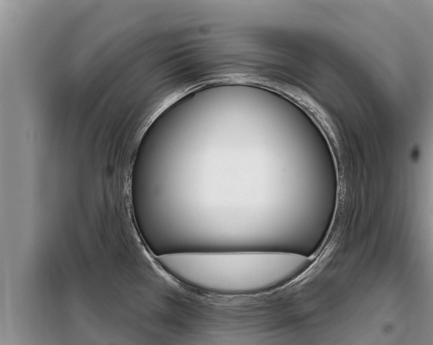 X0000099421385200805090741