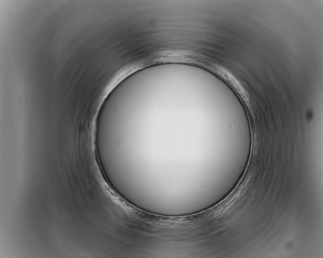 X0000099421386200805090740