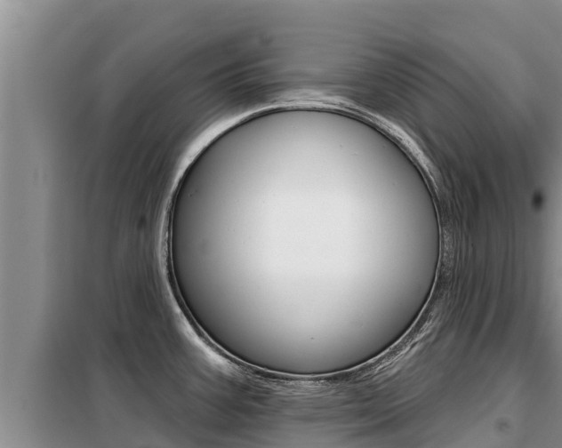 X0000099421387200805090740