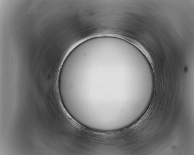 X0000099421388200805090740