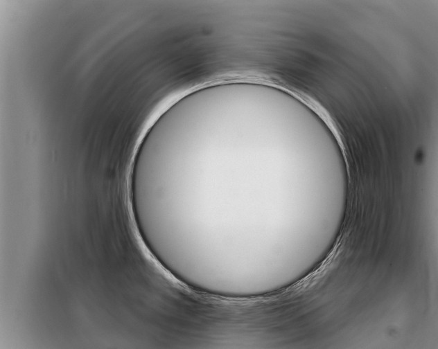 X0000099421389200805090740