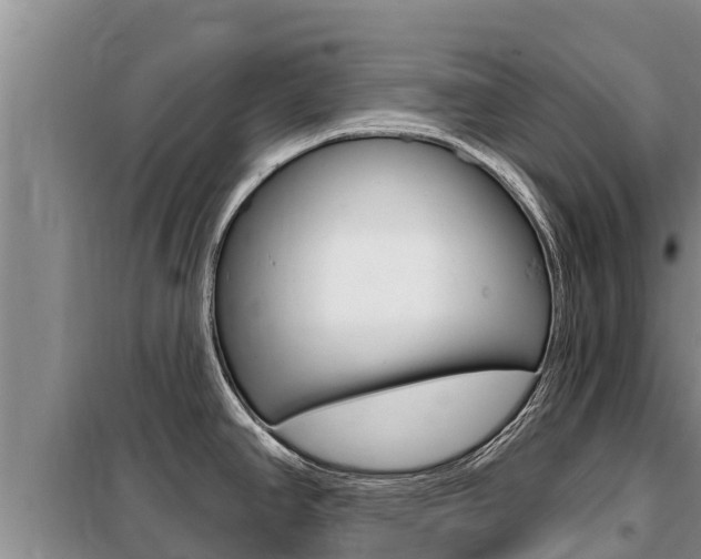 X0000099421390200805090740