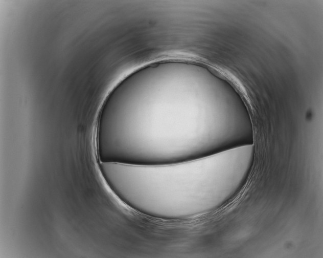 X0000099421391200805090740