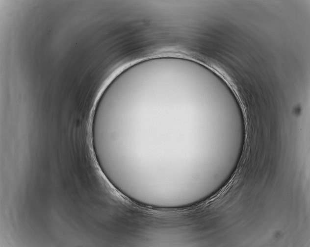 X0000099421392200805090740