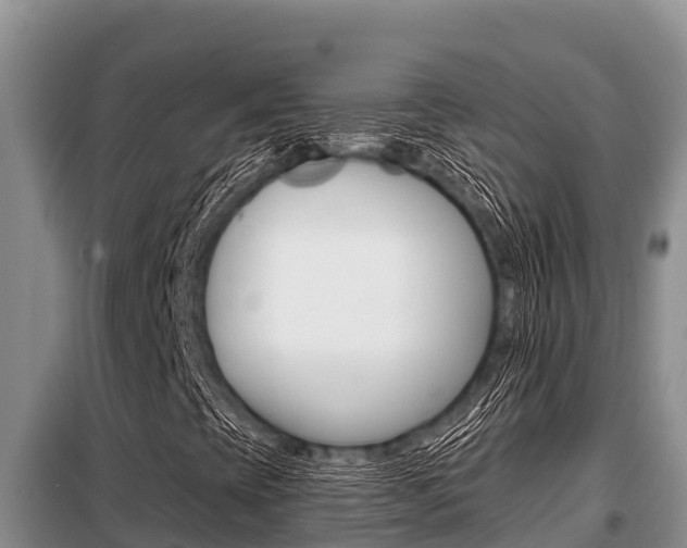 X0000099421393200805090740