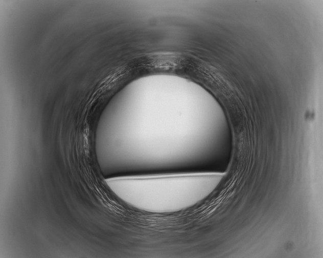 X0000099421394200805090740