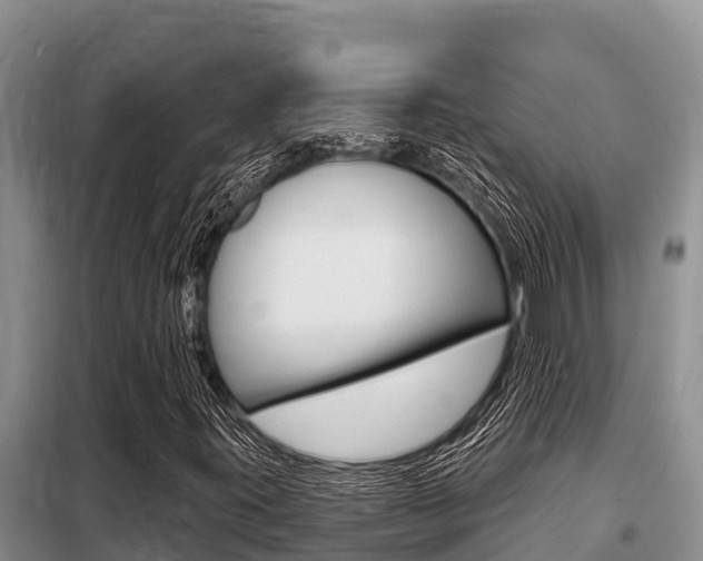 X0000099421395200805090740