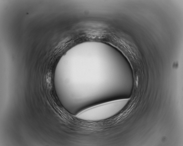 X0000099421396200805090740