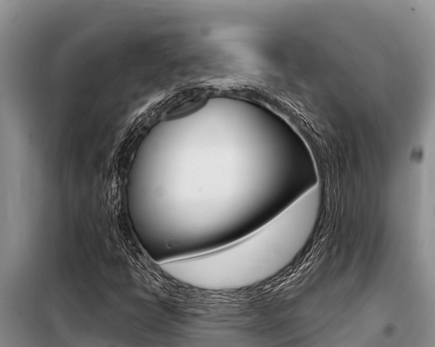 X0000099421398200805090740