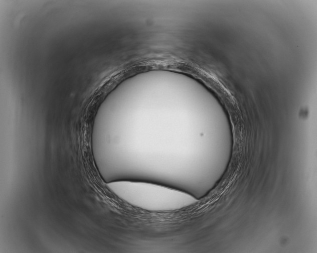 X0000099421399200805090740