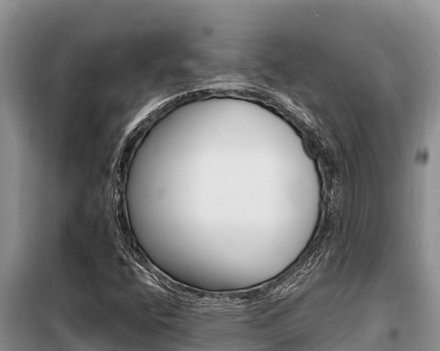 X0000099421400200805090740