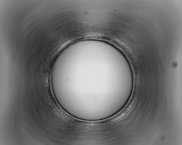 X0000099421401200805090740