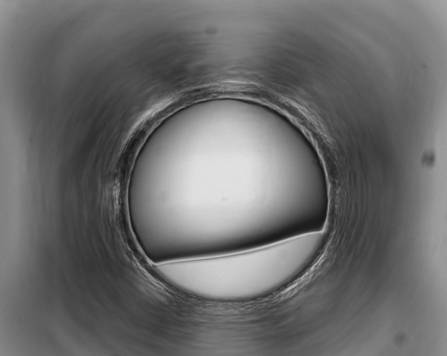 X0000099421402200805090740
