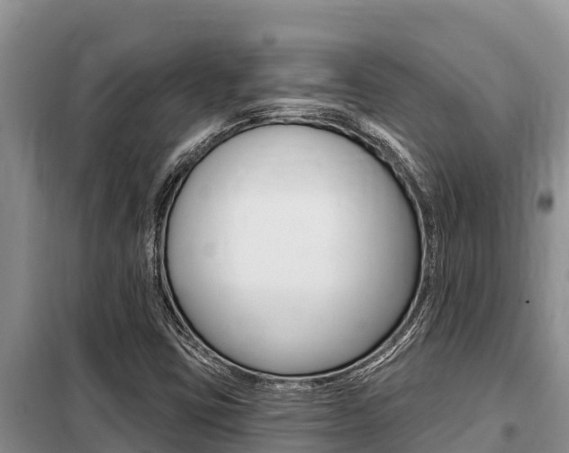 X0000099421403200805090740