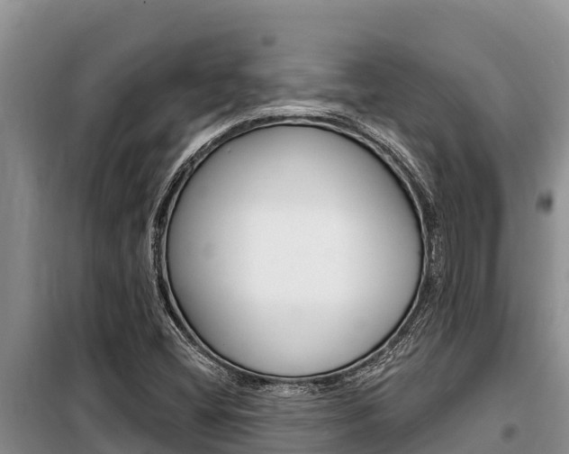 X0000099421404200805090740