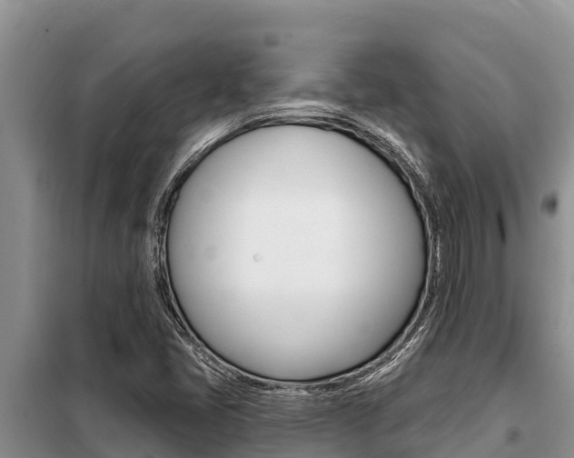 X0000099421405200805090740