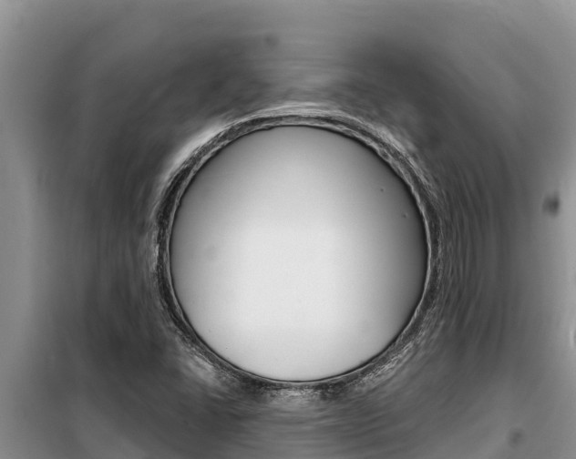 X0000099421406200805090740