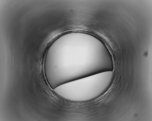 X0000099421407200805090740