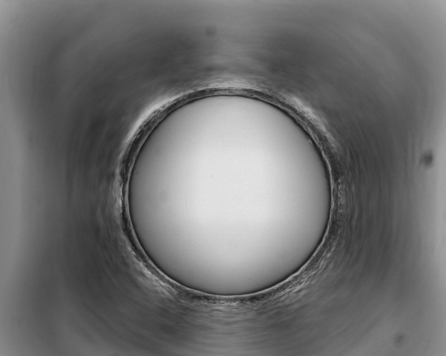 X0000099421408200805090740