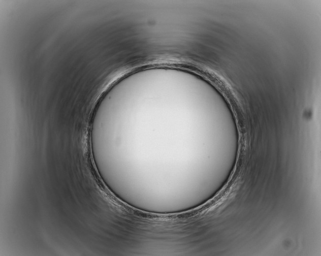 X0000099421409200805090740