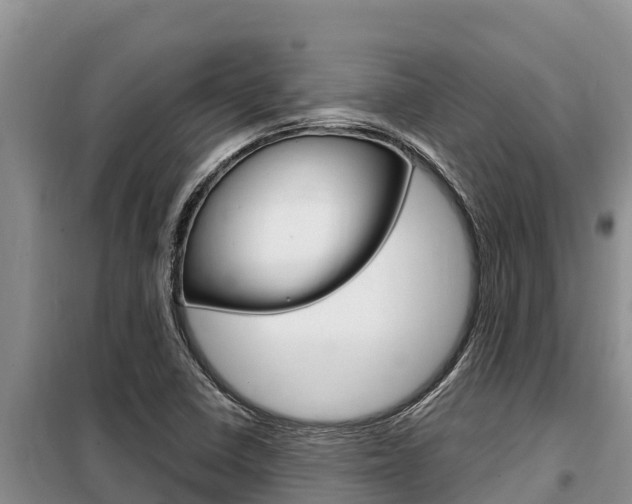 X0000099421410200805090740