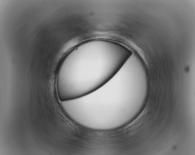 X0000099421411200805090740