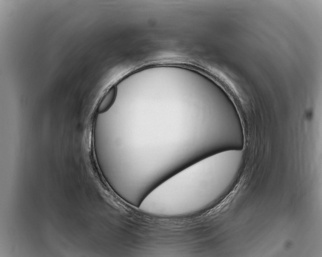 X0000099421413200805090740