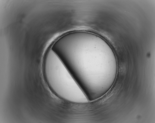 X0000099421414200805090740