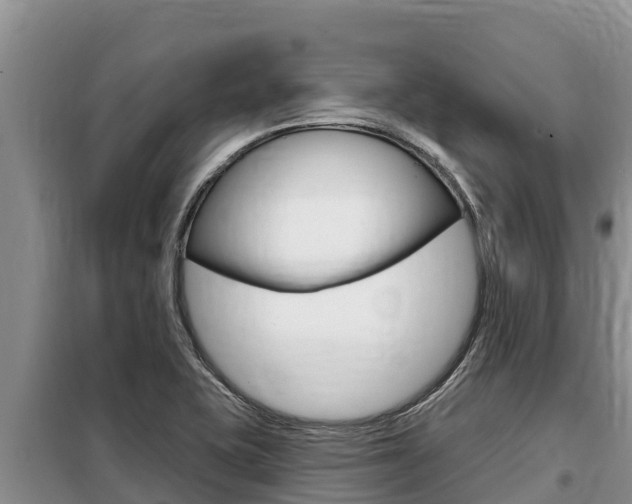 X0000099421415200805090740