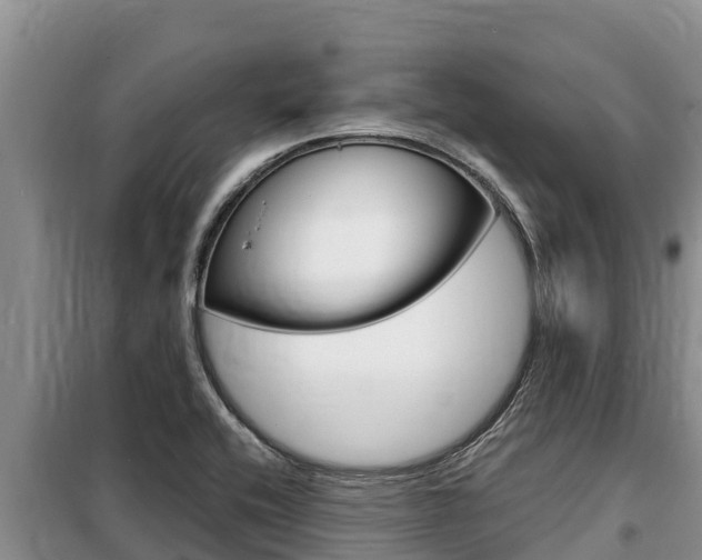 X0000099421416200805090740