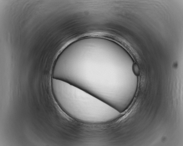 X0000099421417200805090740
