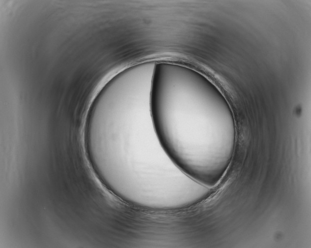 X0000099421418200805090740