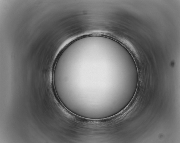 X0000099421420200805090740