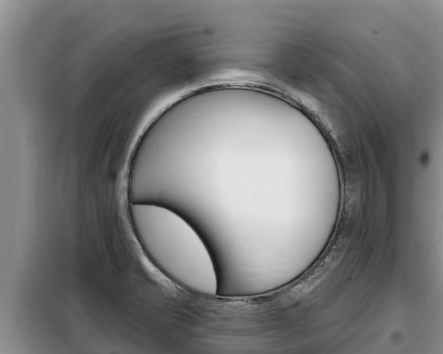 X0000099421421200805090740