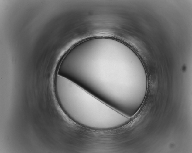 X0000099421422200805090740