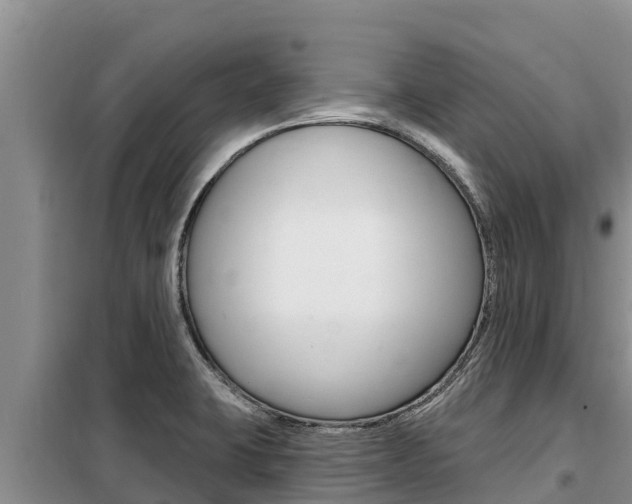 X0000099421423200805090740
