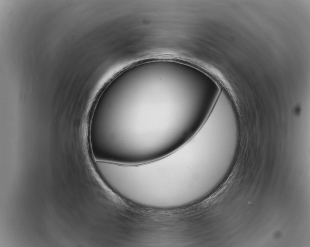 X0000099421424200805090740