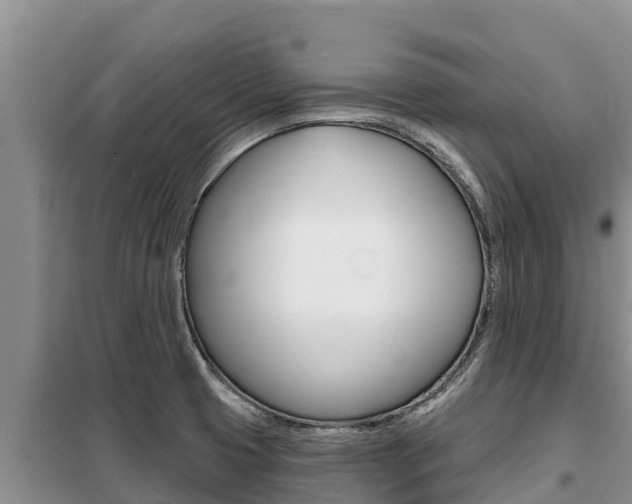 X0000099421425200805090740