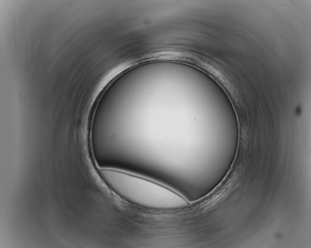X0000099421426200805090740