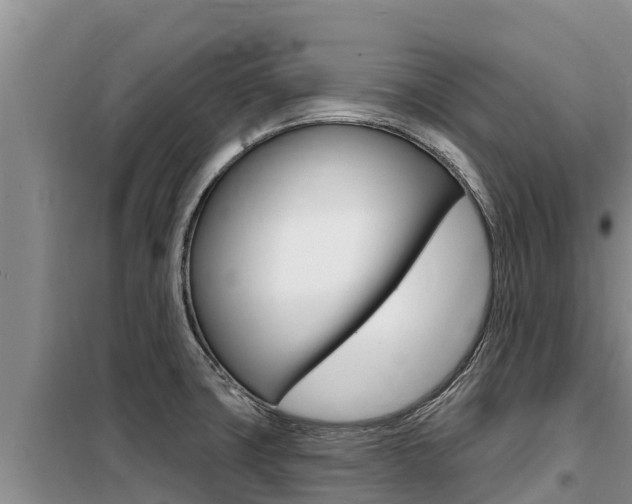 X0000099421427200805090740