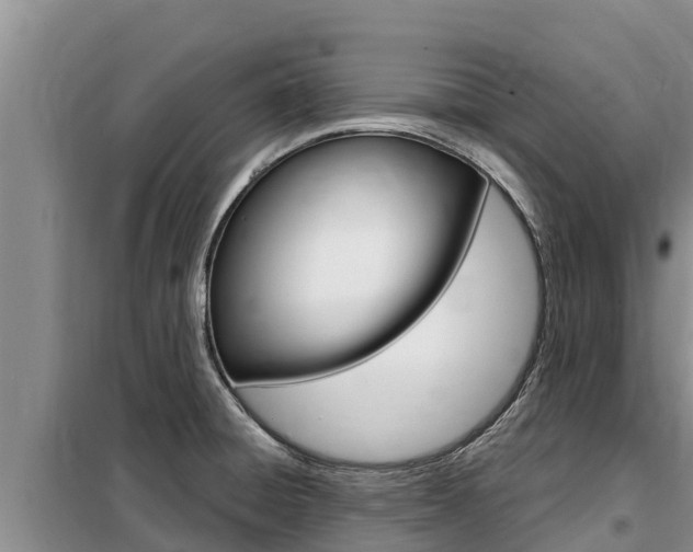 X0000099421428200805090740