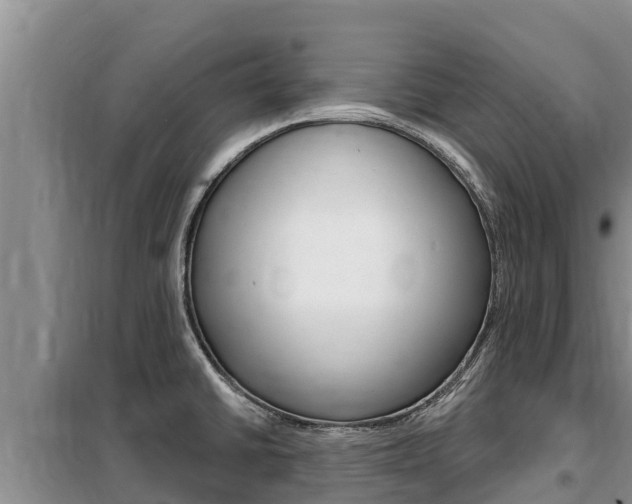 X0000099421430200805090740