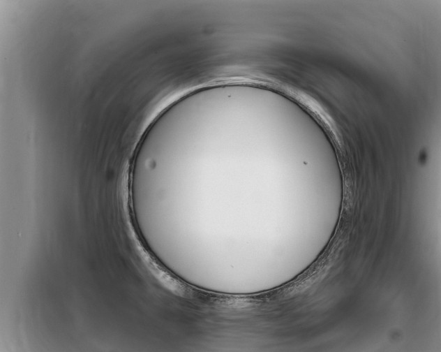 X0000099421431200805090740