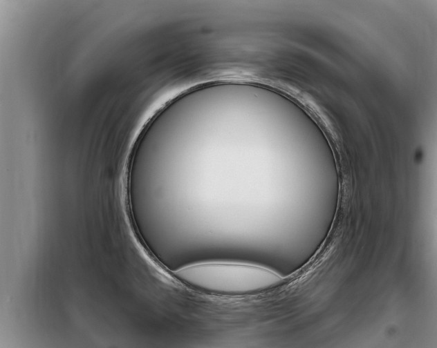 X0000099421432200805090740