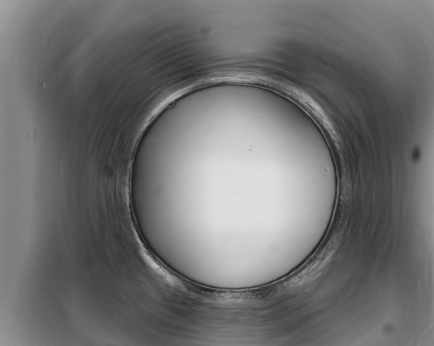 X0000099421433200805090740
